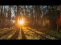 The Best Study Music - Beautiful Relaxing Music for Work or Studying