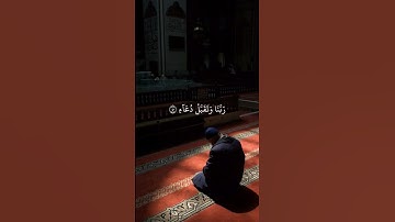 سورة إبراهيم ٤٠-٤١ | القارئ خالد الجليل #قرآن
