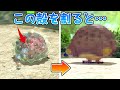ピクミンの世界で水中にいた生物が陸にあがった姿がヤバすぎた…【原生生物進化の奇跡】