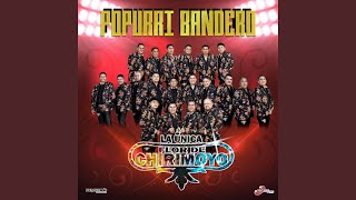 Popurrí Bandero: Será Porque Te Amo / Pequeña de Ojos Brujos / Pensando En Ti / Dame Un Beso
