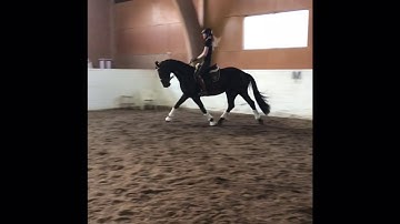 9408C2A2 AD20 4145 AEC8 B1E283E94B28