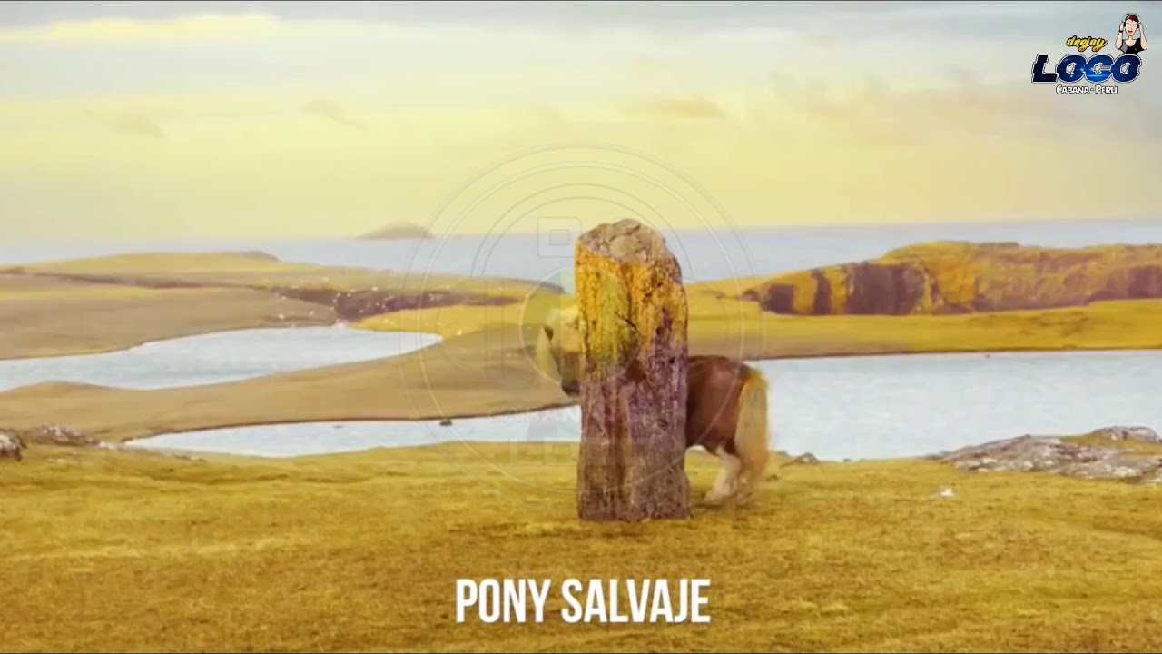 [105] PONY SALVAJE [VRS. REGGAETON] - DJ KING TALARA FT. DJ LOCO CABANA PERU