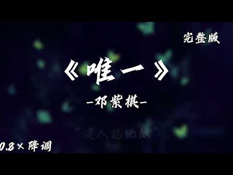 G.E.M 邓紫琪 - 唯一 Only One 0.8x （降调版）【动态歌词】