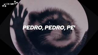 Pedro, Pedro, Pe🗣️|| Pedro - Raffaella Carrà, Jaxomy, Agatino Romero (Remix) Sub. Español + 