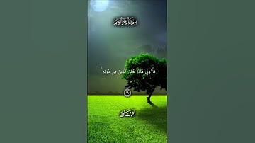 سورة لقمان 💫💦 | هَٰذا خَلقُ اللَّه فَأرونِي مَاذَا خلَقَ الَّذِين مِن دُونهِ ۚ | #قرآن #اسلام_صبحي