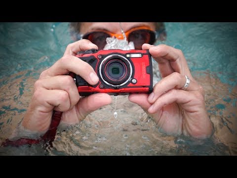 Diving in with the Olympus TG-6