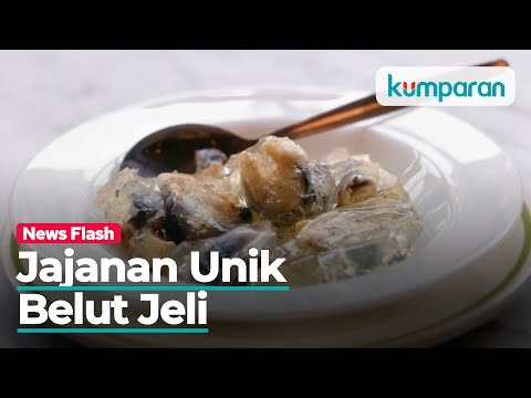 Video: Siapa yang makan jelly belut?