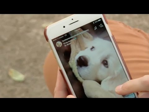 Newly developed Flipagram, a social media app to create and share compelling, visual stories with music