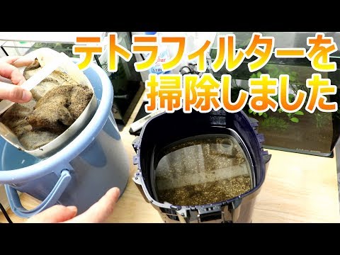 Video Vx 75