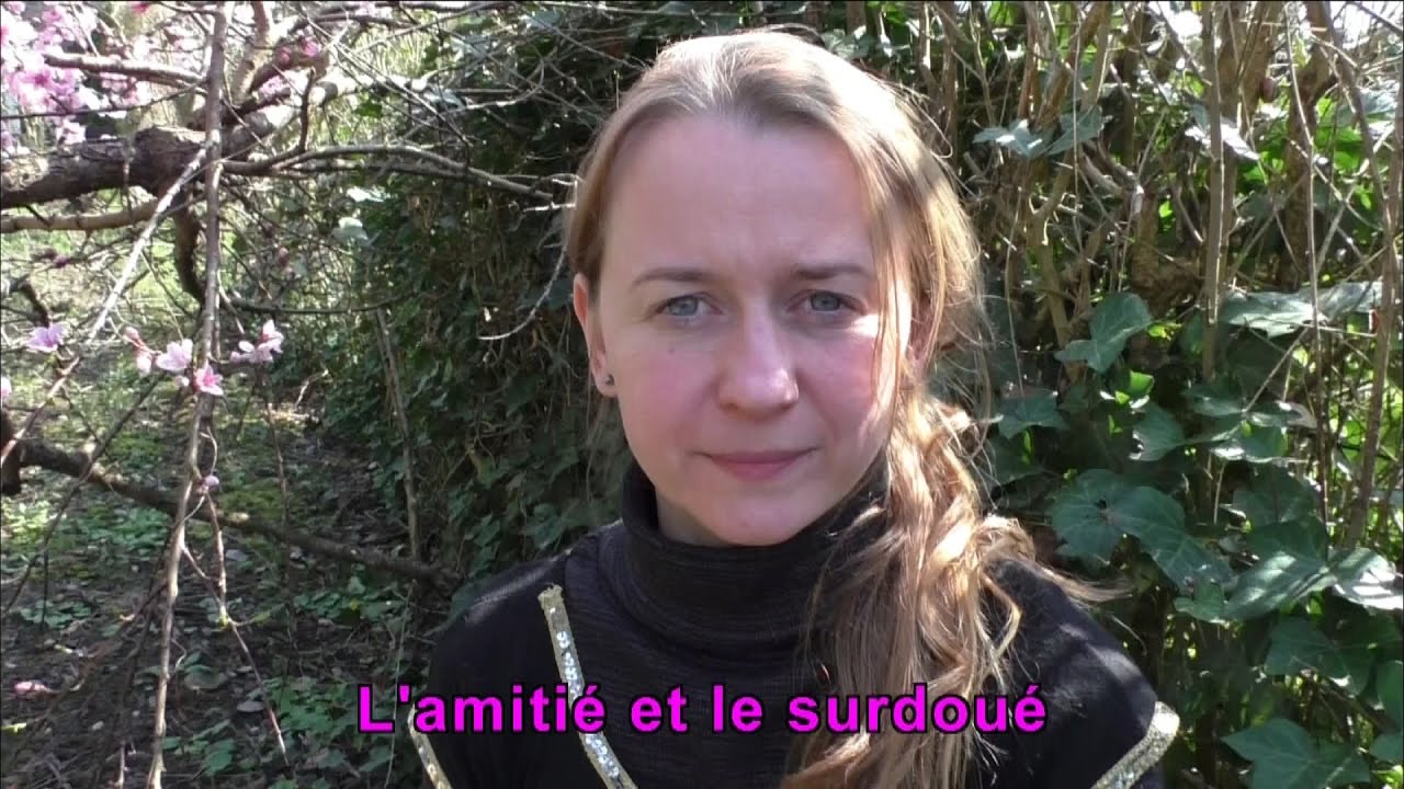 L'amitié et le surdoué