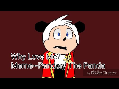 why-love-me?~meme~pandory-the-panda