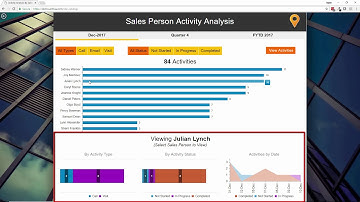 Salesforce Activity Report with DecisionPoint