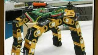 Walking Modular Robot Presentation