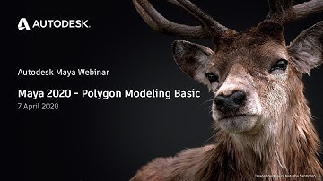 Maya 2020 - Polygon Modeling Basic