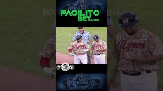 Carlos Yolmer Sánchez le cae a palos al Magallanes #beisbol #lvbp #tigresdearagua