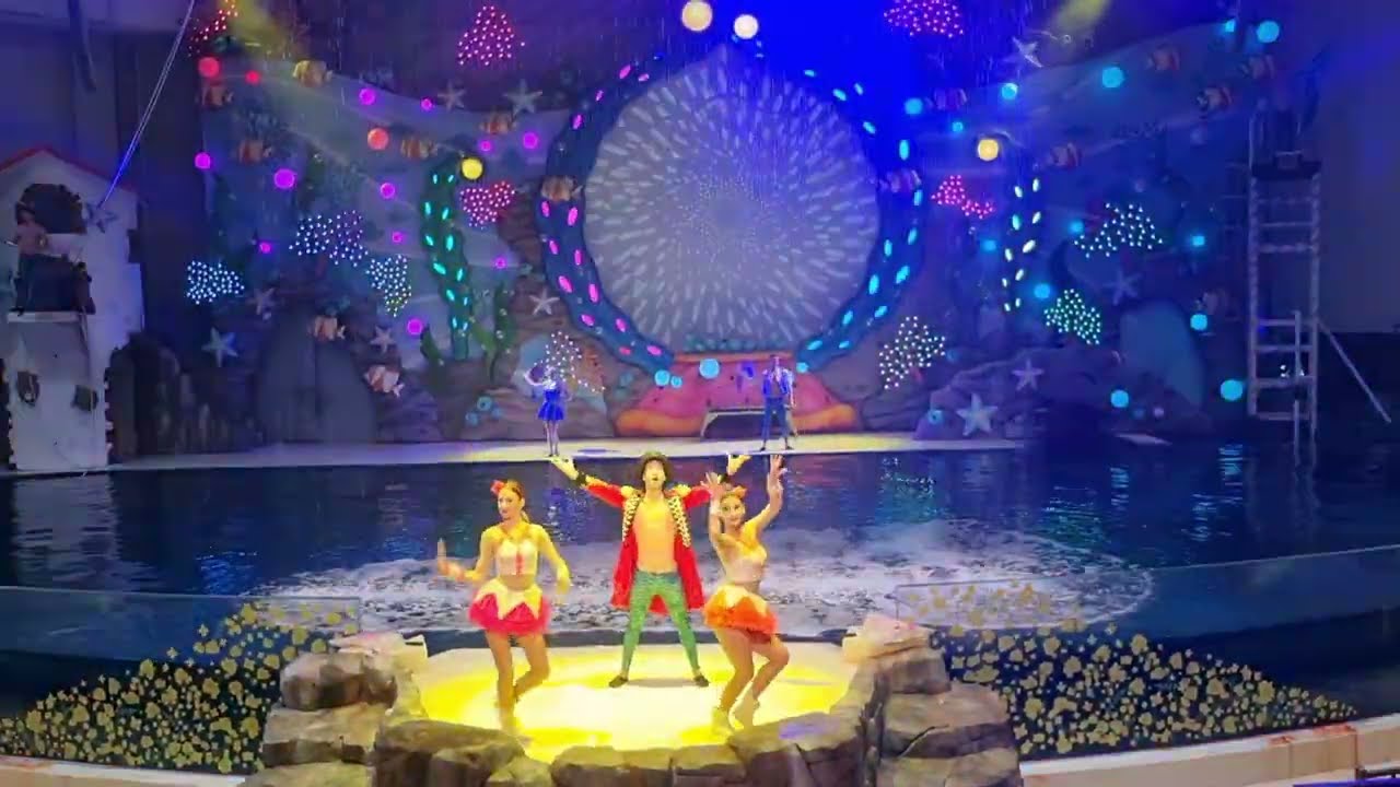 아쿠아플라넷 제주 - The Greatest Ocean 3 & 아쿠아 스토리