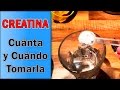 Creatina - Cuánta y Cuándo Tomarla