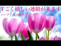 【聴き流しで】すごく嬉しい連絡がきます！幸せな未来になる💗ハープ・鳥の鳴き声I will be very happy to hear from you.
