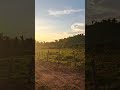 por do sol