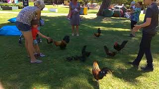 Парк для детей. Отдых и обучение.🐓 Парк для детей. Отдых и обучение.🐓