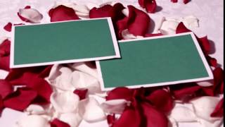 Free HD Wedding background, Free download motion background, Free video FRAME 029 Free HD Wedding background, Free download motion background, Free video FRAME 029