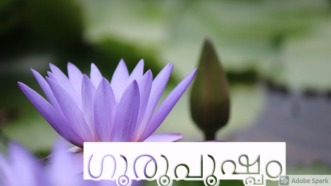 പ്രപഞ്ച കോടിതൻ  സത്യസ്വരൂപം ഞാൻ കണ്ടു #Guru Pushpam#