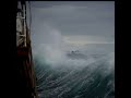 Relax Your Mind in 10 Seconds 🌊🐦 #shorts #asmr #rainsounds #lofi #lofivibes