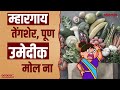 म्हारगाय तेंगशेर, पूण उमेदीक मोल ना... | Bhaangarbhuin | Goa | 26.08.25