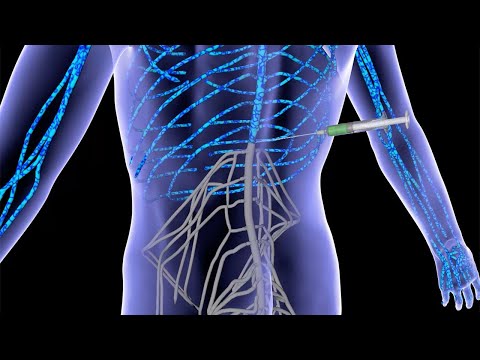 Severe spinal cord injuries repaired with &#039;dancing molecules&#039;