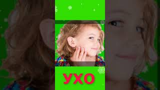 Учим слова Урок 2 3a Тело #shorts