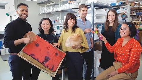 Theanne Schiros and Werewool