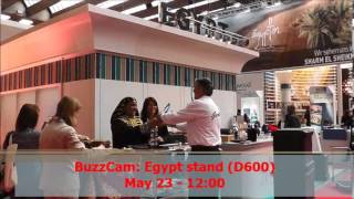 BuzzCam: Egypt stand (D600) screenshot 5