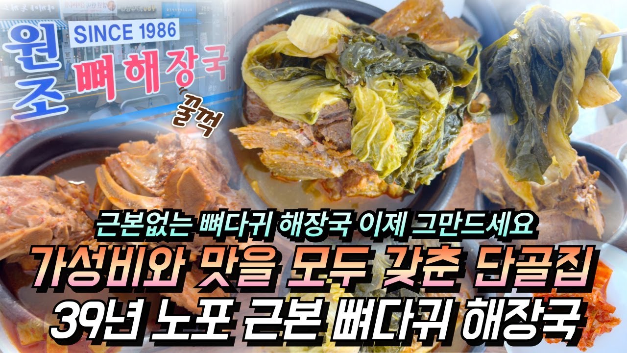 가성비와 맛, 감동까지 느껴지는 노포 뼈다귀 해장국 맛집 Pig Backbone Hangover Soup Spot