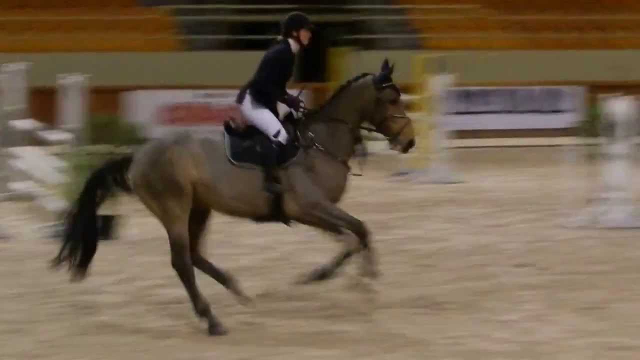 Fanny Massourides et Paris du Driepikkel Z 115 cm