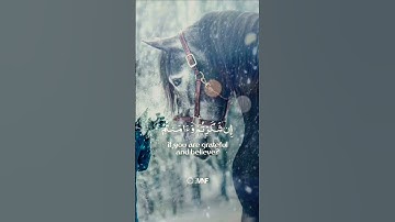 ما يفعل الله بعذابكم | الشيخ سعود الشريم | حالات واتس اب دينية قصيرة قران كريم تلاوة خاشعة ومؤثرة