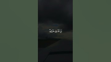🌹اللهُ لَطِيفٌ بِعِبَادِهِ🌹 سورة: الشورى🌹