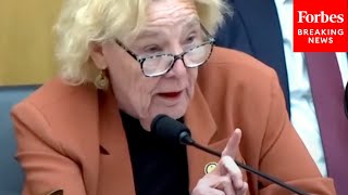 The System Has Not Worked Zoe Lofgren Calls For Reforms To Asylum Process