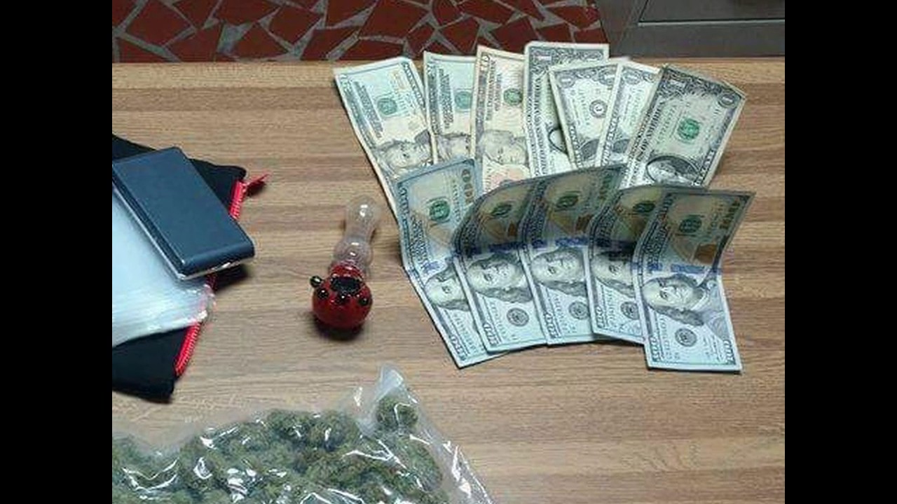 9.6 Grams Missing-Gulf County Perjury