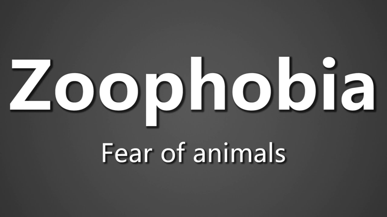 How To Pronounce Zoophobia Fear of animals - YouTube