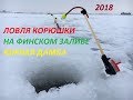 Корюшка 2018 южная дамба