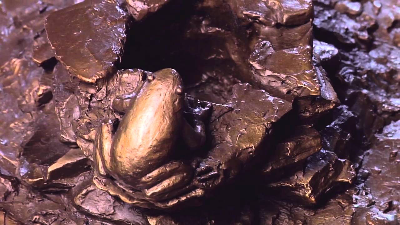 The-Frogs-and-the-Well.mov