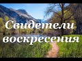 Свидетели воскресения    стихотворение