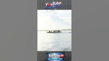 chèo sup trên đồng ruộng #hanhtrinhkhoa #dongthap #tamdong