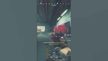 Sliding Into Bloodhounds DMs