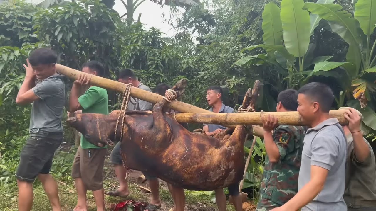 Ngả Bò Làm Đãi Cỗ 300 Mâm, Tiết Canh Pịa Và Nhiều Món Độc Lạ Ngon Tuyệt ...