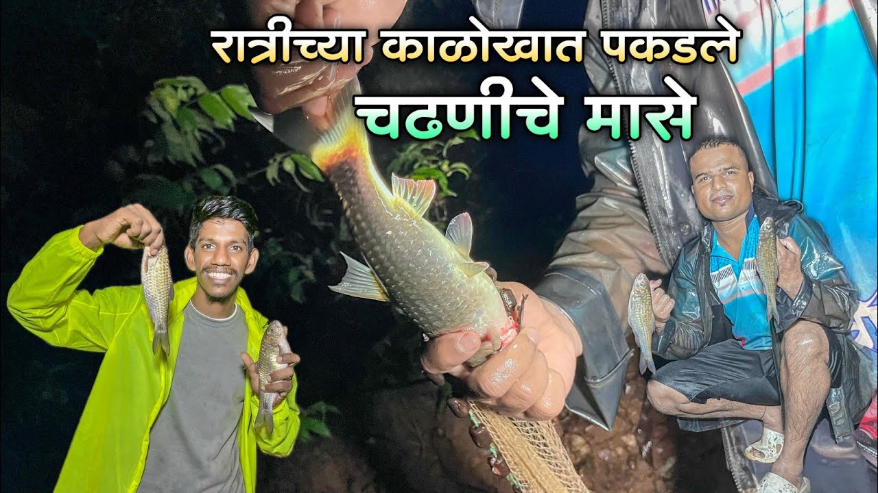 कोकणात चढले चढणीचे मासे🐟|मित्रासोबत गेलो व्हाळात चढणीचे मासे पकडायला|मोठे खवळे मासे पकडले