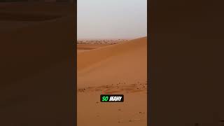 Sahara Desert — The Sea of Sand | Facts Song 🎵