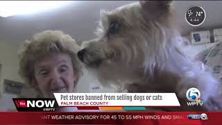 Pet stores banned from selling dogs or cats