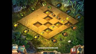 Azada: In Libro Firefly Puzzle Solution