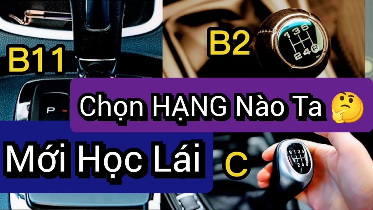 Đăng Ký Học Lái Xe B1, B2 hay C ?? // Thông Tin Đầy Đủ + Rõ Ràng // Việt Phong Dạy Lái Xe #45